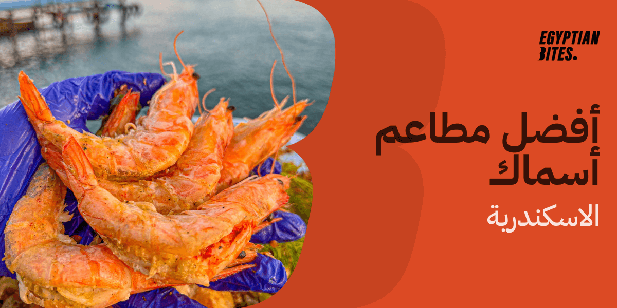 أفضل مطاعم سمك في الاسكندرية